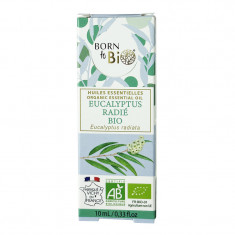 Ulei esential de eucalipt radiata bio, 10ml, Born to Bio