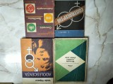 Cumpara ieftin Lot 4 carti educatie sexuala si contraceptie
