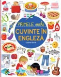 Primele mele cuvinte in engleza. Dictionar ilustrat pentru copii, carte educativa