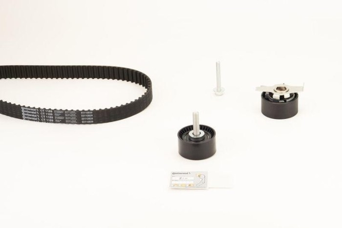 Set curea de distributie
