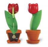 Model de sectiune a florii PlayLearn Toys, Learning Resources