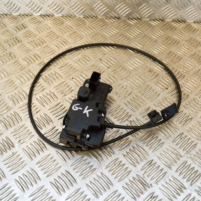 &Icirc;ncuietoare ușă st&acirc;nga spate TESLA MODEL S 2014 OEM: 6008911-00-D 10050173