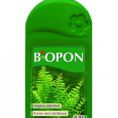 Ingrasamant pentru ferigi Biopon 0.5 l