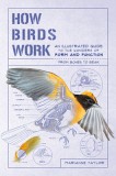 How Birds Work: An Illustrated Guide to the Wonders of Form and Function--From Bones to Beak