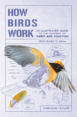 How Birds Work: An Illustrated Guide to the Wonders of Form and Function--From Bones to Beak foto