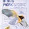 How Birds Work: An Illustrated Guide to the Wonders of Form and Function--From Bones to Beak