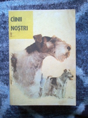 d9 Cainii nostri foto
