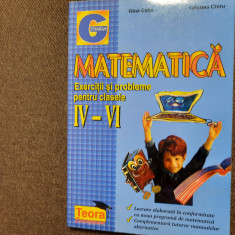 MATEMATICA EXERCITII SI PROBLEME PENTRU CLASELE IV-VI GINA GABA /CRISTINA CHIRU