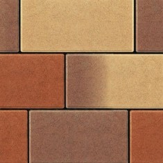 Nardo pavaj frunzis de toamna Semmelrock