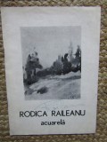 CATALOG EXPOZITIE RODICA RAILEANU ACUARELA 1984
