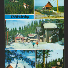 CPIB 18749 CARTE POSTALA - PALTINIS, MOZAIC