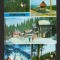 CPIB 18749 CARTE POSTALA - PALTINIS, MOZAIC