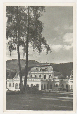 bnk cp Vatra Dornei - Sanatoriul balnear - necirculata foto