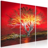 Cumpara ieftin Tablou - Fiery Sky (3 Parts) 120x80 cm
