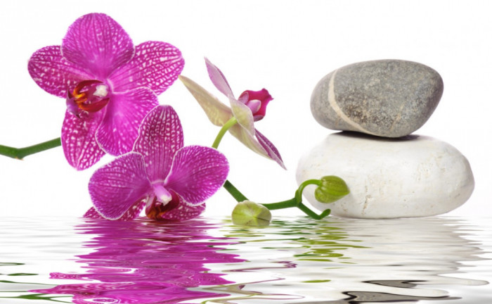 Fototapet autocolant Orhidee, pietre si apa, 250 x 150 cm