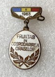 Romania 1963 - Insigna metalica Fruntas in gospodarirea oraselor, propaganda comunista, tehnica cloisonne