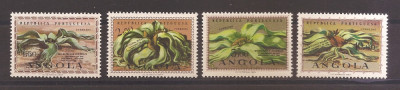 Angola 1959 - 100 de ani de la descoperirea Welwitschiei, MNH foto