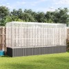Voliera Pasari cu Extensie Argintie 418.5x107x212cm Otel Galvanizat Cusca Mare Papagali Perusi Grile Blocabila Spatiu Amplu