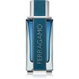 Ferragamo Ferragamo Intense Leather Eau de Parfum pentru bărbați 100 ml