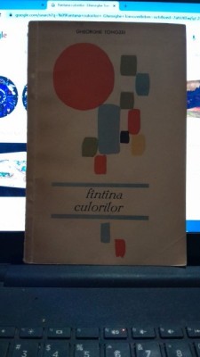 Fantana culorilor -Gheorghe Tomozei foto