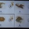 Gambia-WWF,FDC Pangolin-set complet