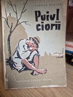 Puiul ciorii - George Nestor foto