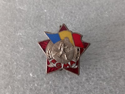 Insigna FGMA foto