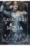 Cavalerul si molia. Seria Regatul Stonewater Vol.1 - Rachel Gillig