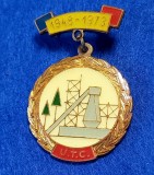 Insigna UTC - Uniunea Tineretului Comunist (aniversare 1948-1973)
