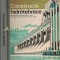 Constructii Hidrotehnice - Apostol Manta, Cornel Paun, Nicolae Gh. Ioan, Ion Man