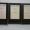 EUGENE O&#039;NEILL - TEATRU - 3 volume