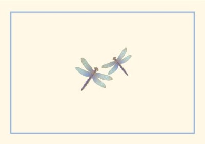 Blue Dragonfies Boxed Note Cards (14 Cards, 15 Envelopes) foto