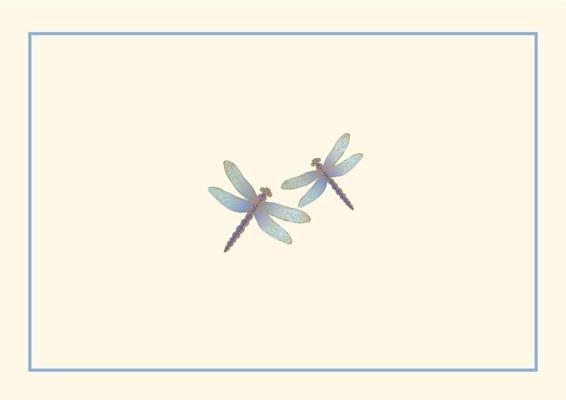 Blue Dragonfies Boxed Note Cards (14 Cards, 15 Envelopes)