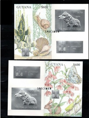 GUYANA 1994 CAINI FLUTURI COLITE ARGINTII SPECIMEN foto