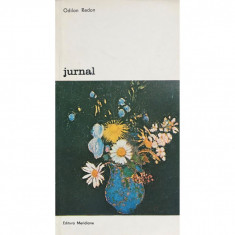 Carte Odilon Redon - Jurnal foto