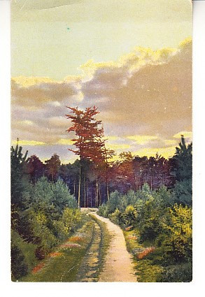 D11 A 36 - Felicitare de colectie - de la inceputul anilor 1900