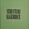 Structuri algebrice &ndash; P. Dragomir, A. Dragomir