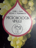 Microbiologia vinului,Aurel Popa,folosit,20 lei