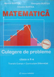 MATEMATICA. CULEGERE DE PROBLEME. CLASA A X-A-MARIUS BURTEA, GEORGETA BURTEA, CLAUDIA BURTEA