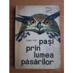 PASI PRIN LUMEA PASARILOR - IONEL POP