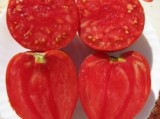 50seminte tomate Inima de Bou rosu - mari, carnoase