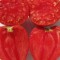 50seminte tomate Inima de Bou rosu - mari, carnoase