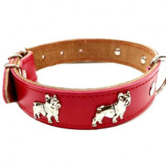 Zgarda Piele Naturala, cu Accesorii Bulldog, 25 mm x 50 cm, Rosu