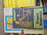 Femeia dispărută vintage