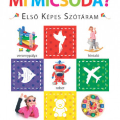 Mi micsoda? - Első képes szótáram - Szivacskönyv