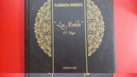 Lui Nichita 11 elegii - Florenta Ionescu