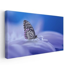 Tablou fluture pe floare detaliu Tablou canvas pe panza CU RAMA 30x60 cm