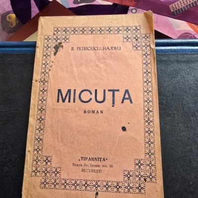 MICUTA - BOGDAN PETRICEICU HAJDEU foto