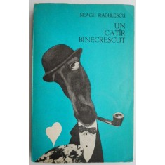 Un catar binecrescut &ndash; Neagu Radulescu