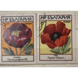 (M) Timbre serii Straine Flora flori